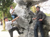 /album/photogallery/img-1484-jpg/